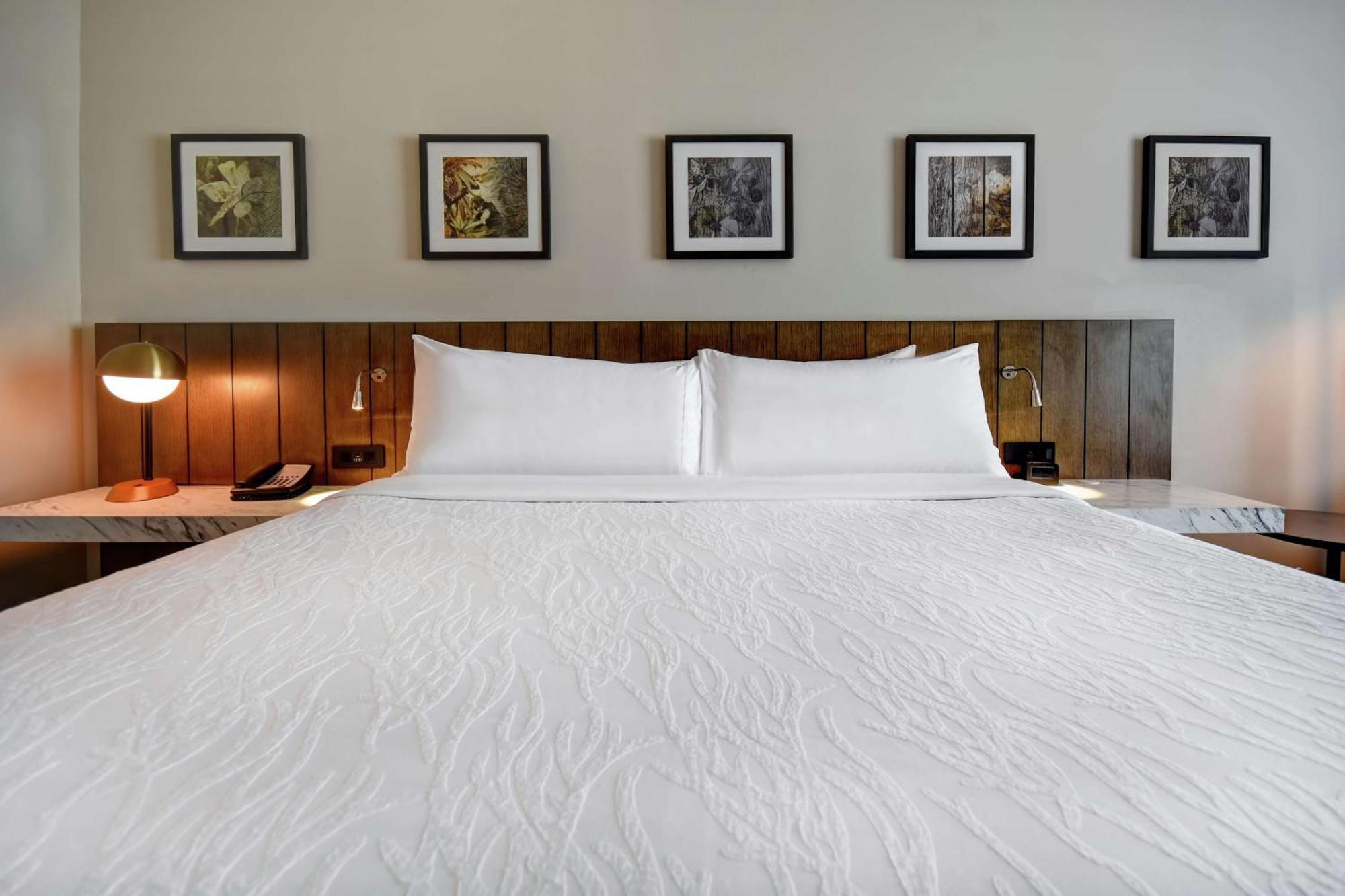 Hilton Garden Inn Jackson Eksteriør billede